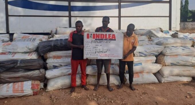 NDLEA arrests man ‘supplying drugs’ to terrorists in Borno, seizes 7,609kg of hard drugs