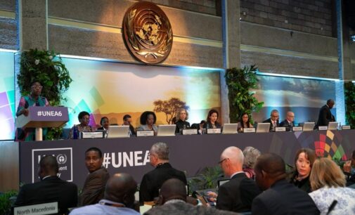 UN environment assembly opens in Kenya with call for climate actions