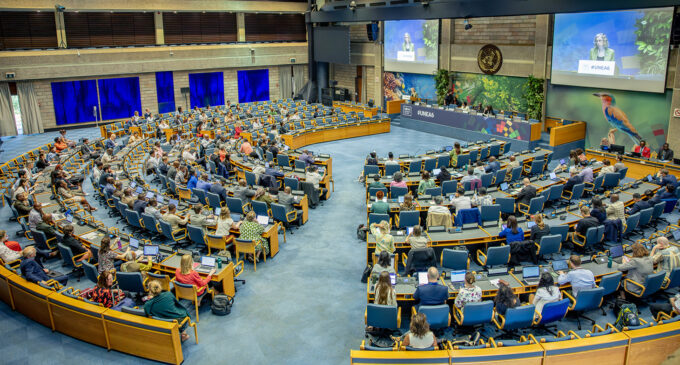 UNEA-6: Global unity through environmental diplomacy