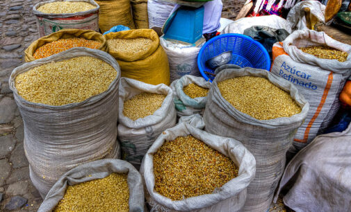 FG: We’ll ensure grains released from food reserves reach poor Nigerians