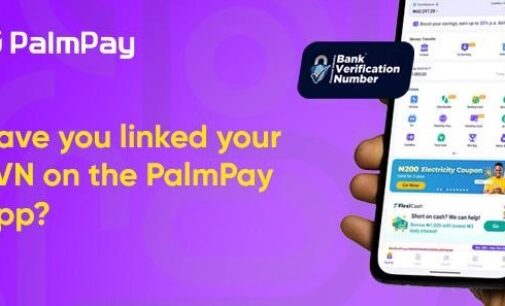 How to link your NIN/BVN on the PalmPay app