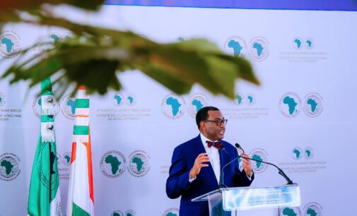 Akinwumi Adesina: AfDB supporting Nigeria with $134m to cultivate rice, maize, wheat