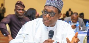 Ali Pate to deliver keynote speech as NDFF conference holds in Nigeria for first time