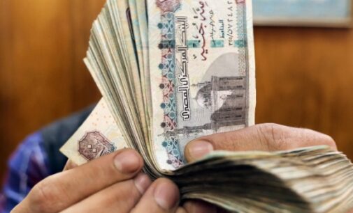 Egypt’s pound steadies after IMF deal, currency devaluation