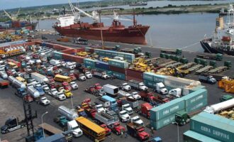 NPA introduces 72-hour access window for export trucks to avert congestion