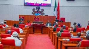 Tinubu seeks senate confirmation for SEC DG, three board members