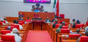 Senate: Minimum age requirement for varsity admission not yet a law