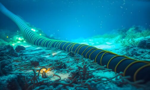 Subsea cable repairs might take eight weeks, says MainOne