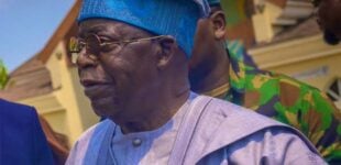 Faulty aircraft: Tinubu should travel by road or use commercial flight, says rep