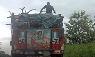 FRSC to impound vehicles transporting animals, humans together