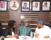 Dele Alake to firms: No more mining licences without plans for local refining