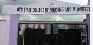 APPLY: Oyo College of Nursing and Midwifery extends sale of admission form
