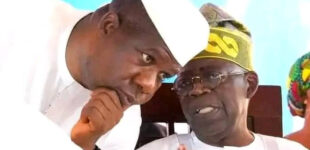 ‘Your foray into politics was never a mistake’ – Opeyemi Bamidele celebrates Tinubu at 72