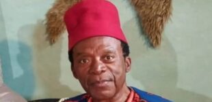 ‘Basi and Company’ actor Zulu Adigwe is dead