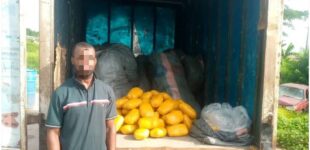Police intercept truck with ’30 sacks of Indian hemp’ in Lagos