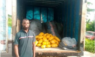 Police intercept truck with ’30 sacks of Indian hemp’ in Lagos