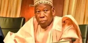 Dollar video: Kano CJ reassigns case against Ganduje to new judge