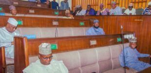 ‘We won’t be intimidated’ — Kaduna assembly warns el-Rufai’s son after ‘subtle threat’ to speaker