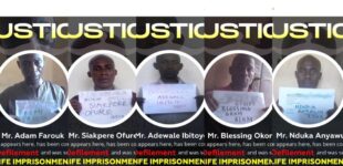 Lagos publishes pictures, names of five sex offenders