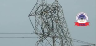 TCN: Four towers along Jos-Gombe transmission line vandalised