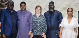 NESG, CWEIC laud the potential of LFZ to contribute to Nigeria’s GDP