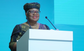 Ngozi Okonjo-Iweala to receive honorary degree from Oxford University