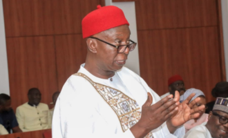 ‘No shortcut to success’ — Ned Nwoko asks CBN to tackle issues causing naira depreciation