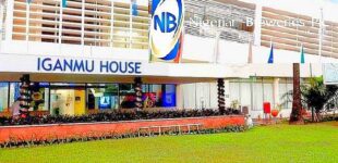 ‘To reduce debt’ — Nigerian Breweries to raise N600bn through rights issue