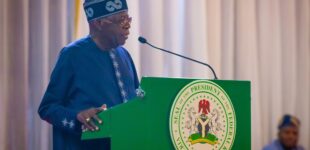 President Tinubu: One year of bold sectoral transformations