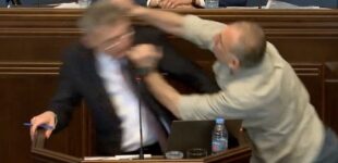EXTRA: Opposition leader punches Georgian lawmaker during debate