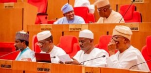 ‘Phantom fight’ — spokesperson denies sitting arrangement dispute at senate