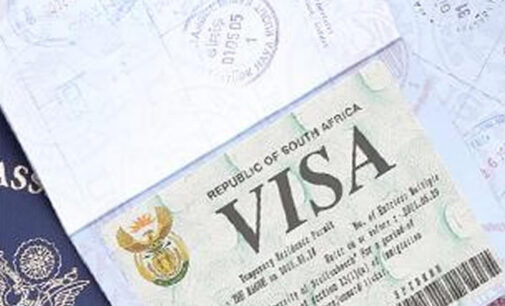 Report: South Africa approves remote work visas for skilled foreigners