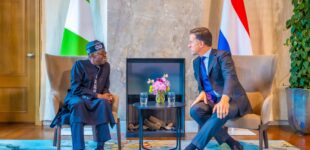 Tinubu to Dutch PM: Nigeria’s lithium deposits can power world’s clean energy future