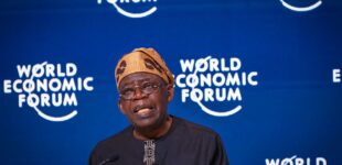 Tinubu: Petrol subsidy removal necessary for Nigeria not to go bankrupt