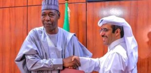 Qatari government to build primary school for children orphaned by insurgency in Borno