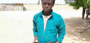 ‘Notorious Boko Haram member surrenders’ to army