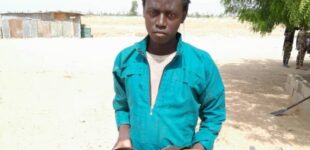 ‘Notorious Boko Haram member surrenders’ to army