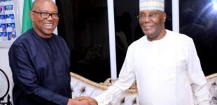 JUST IN: Obi meets Atiku, Sule Lamido in Abuja