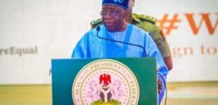 Tinubu: Cure for bad governance in Africa is more democracy