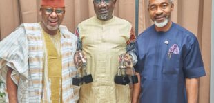 PHOTOS: Chain Reactions Africa wins seven awards at SABRE