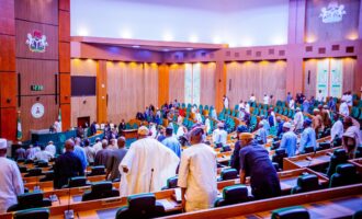 Convert abandoned, seized buildings to public use, reps tell FG