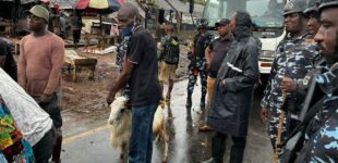 Lagos task force raids Agege ram market over ‘indiscriminate display’ of animals