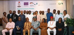 Customs launches advance ruling system to ease cargo clearance, boost revenue