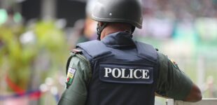 Police arrest man who ‘stabbed lover to death over N100K’ in Delta