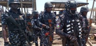 Hausa Constabulary to NPF: Nigeria’s security agencies need to evolve