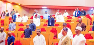 Senate to hold national summit on farmer-herder crisis