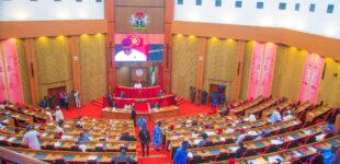 Senate passes bill seeking to establish North West Development Commission