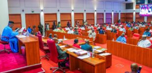 Senate to probe over 11,856 projects abandoned by FG