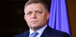 Slovakia PM in critical condition after escaping assassination attempt