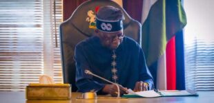 Climate Watch: Tinubu sets up committee on climate action, green economy